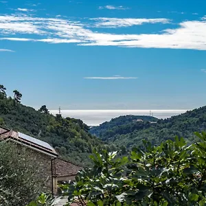 https://mansarda-damare.hotelitalianriviera.com